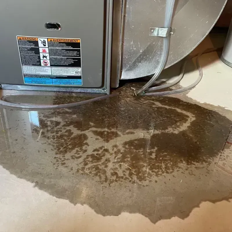 Appliance Leak Cleanup in White Plains, NC